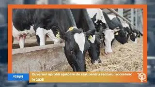 Guvernul aprobă ajutoare de stat pentru sectorul zootehnic &icirc;n 2025 - VoxQub