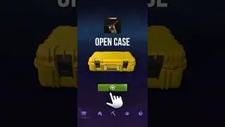 X Case - Farm Skins CS 2