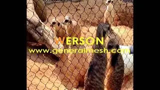 Cable Mesh zoo Enclosure, Animal Enclosures WEBNET Wire Mesh，zoo enclosure