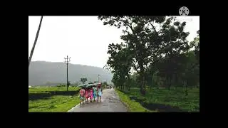 A MONSOON RIDE, UPPER FAGU TEA ESTATE TO GORUBATHAN ❤️❤️