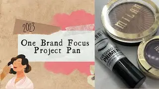 One Brand Focus - Project Pan (Milani Cosmetics)
