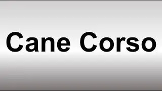 How to Pronounce Cane Corso