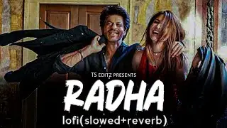 Radha 🎧 lofi(slowed+reverb) - shahid mallya | Movie - Jab Harry Met Sejal | SRK & Anushka Sharma