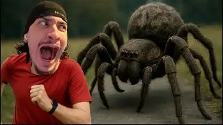 ICH WURDE VON EINER RIESENSPINNE GEJAGT 😱🕷️