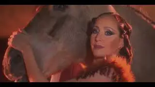 Circus Krone 