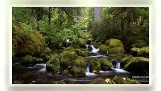 Watson Falls - waterfalls of the world