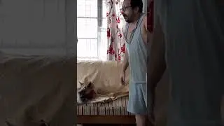 Hilarious Dog Hug Gone Wrong #shorts #ytshorts #leo #dbrownmixstudio #dog