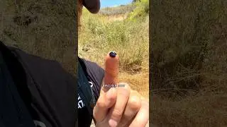 Hiking Thots: Tar Pits #facts #nature #hiking #tar