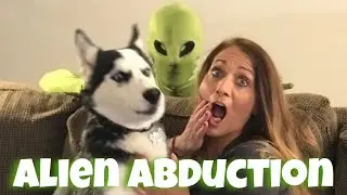 Alien Abduction Prank On Puppy
