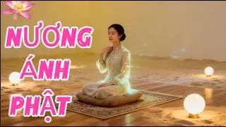 Bài Hát: Nương Ánh Phật | Nhạc Phật Giáo Vui Tươi – An Yên Tâm Hồn | Nghe Là Thấy Nhẹ Lòng