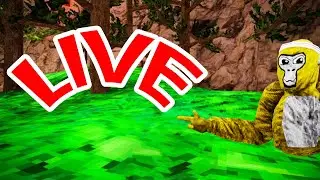 Gorilla tag LIVE with viewers