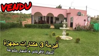 ✨فيرمة 3 هكتارات مجهزة باشجار الافوكادو والاشجار المثمرة جاهزة ومجهزة ✨تيفلت