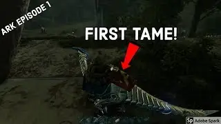 Ark Ep.1 - Starting Anew