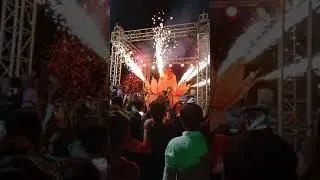 Best video of lotus flower stage