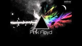 Pink Floyd - Comfortably Numb - Bass Edit