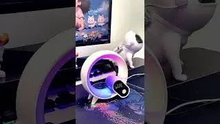 ⏰ Q Light Sunrise Alarm Clock &ndash; Smart Wake-up & Atmosphere Light
