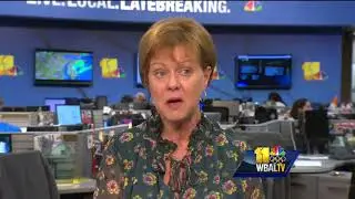BBB warns consumers of Wonderland Woodworks scam
