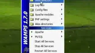 03 - Wamp Server