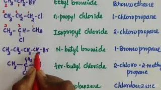 Nomenclature of Haloalkanes and Haloarenes/in kannada/class-12, organic, JEE, NEET