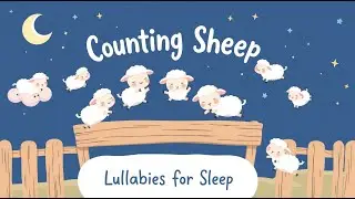 COUNTING SHEEP - 2025 - FULL ALBUM