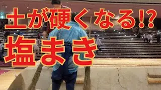土をかためるため？塩まきを解説 #相撲 #sumo