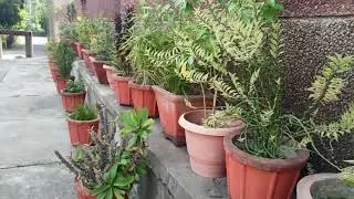 Dm office haridwar #haridwar# uttarakhand gov.# office district magistrate