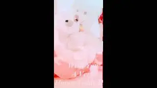 Teddy day Whatsapp Status!! Teddy day Status