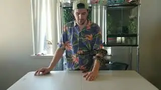JamesJeptiles