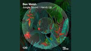 Jungle Sound