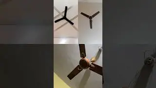 Ceiling fan start | #ceilingfan #shorts #fanvideo
