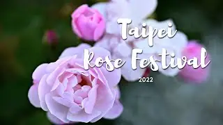 Get Lost in Blooms: Exploring North Taiwan's Largest Rose Garden!