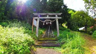 井草神社 / 天津彦火邇々杵尊 ( ショート動画2024-09-24 )