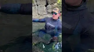 Spitze der Alligator-Stadt! Am Everglades-Au&szlig;enposten.