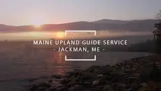 Maine Grouse Hunting - MAINE UPLAND GUIDE SERVICE