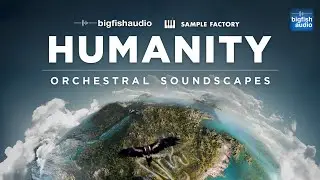Humanity: Orchestral Soundscapes | Demo Track