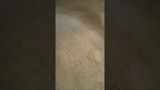 silis kum sınıflandırma eleği
