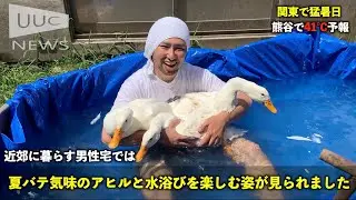 【熊谷猛暑日】夏バテアヒルとプールで涼む30代男性