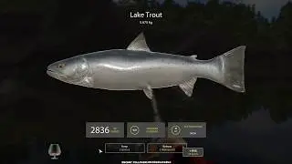 Relaxing playing a virtual fishing game called, Russian Fishing 4, RF4.