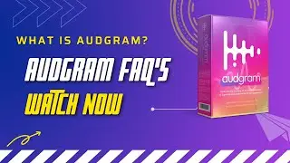 What is Audgram and What Problems Does It Solve
