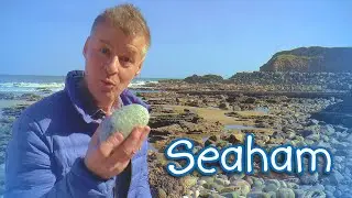 Seaham's amazing sea cliffs, magical rock pools & bustling beaches! Dr Renwick's 11th 'let's walk'.
