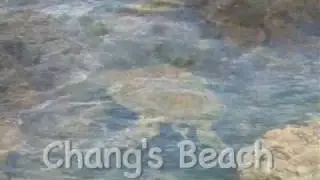 Chang's Beach Virtual Maui Guide