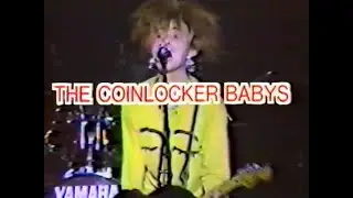 Rock File On Video 1988 Vol. 2 - God Save The Punx