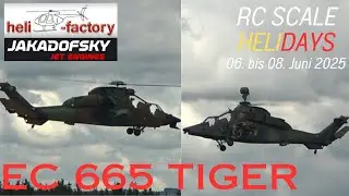 TWO RC TURBINE EC 665 TIGER BY HELIFACTORY (RC Scale Helicopter Show 2025)
