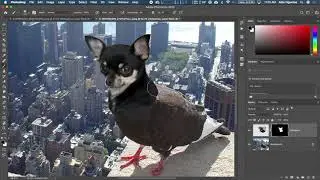 Week10A 1 How to create a hybrid animal