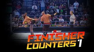 Wwe Finishers Counters 1