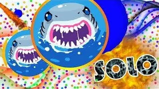 AGAR.IO//CROWED SERVER//13K GAMEPLAY//