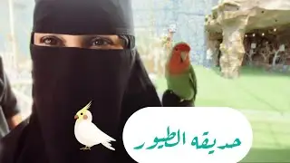 ثالث يوم ف عروس المصايف  مشاهده ممتعه🪿🐔🐓🐇