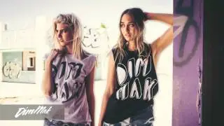 Lil Jon - Get Loose (Garmiani Remix) [Audio] I Dim Mak Records