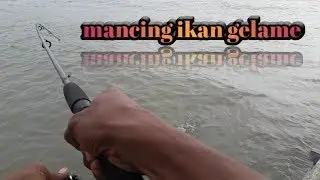 Mancing ikan GELAME || spot masih di keramba