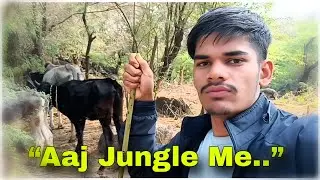 Gaon Ki Asli Zindagi 😓 | Cow Vlog 🐮 | Naresh Rabari Vlogs 👏